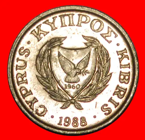 * GROSSBRITANNIEN (1985-1990):: ZYPERN ★ 1 CENT 1988 VOGEL!   * GREAT BRITAIN: CYPRUS ★