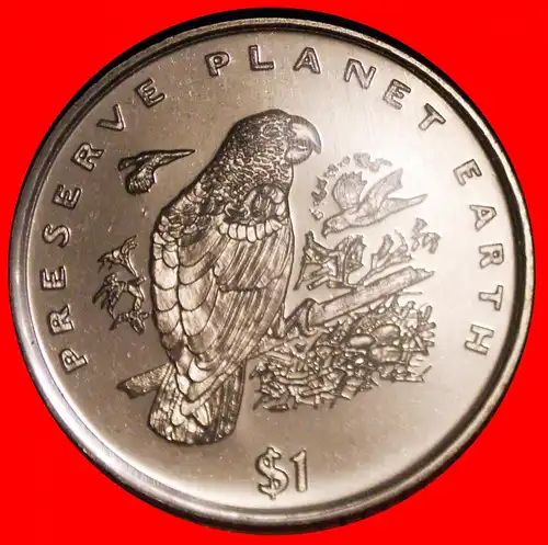 * GROSSBRITANNIEN: LIBERIA ★ 1 DOLLAR 1996 PAPAGEI NUMISBRIEF! UNGEWÖHNLICH ECHTHEITSZERTIFIKAT!  * GREAT BRITAIN: LIBERIA ★ PARROT NUMISLETTER! COA UNCOMMON! MILLENNIUM!  