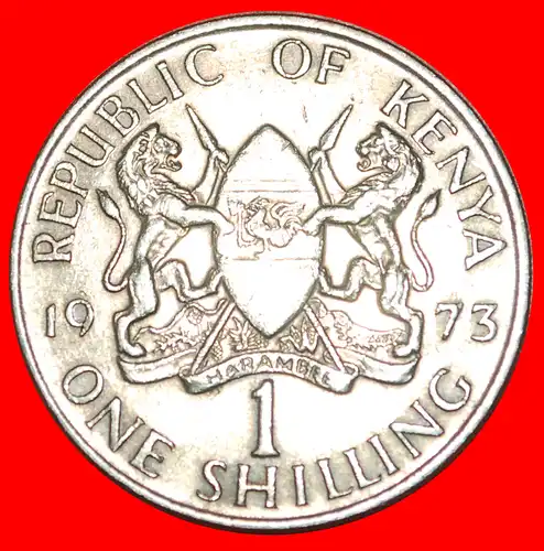 * GROSSBRITANNIEN (1969-1978): KENIA ★ 1 SHILLING 1973! * GREAT BRITAIN: KENYA ★