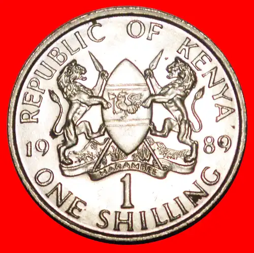 * GROSSBRITANNIEN (1978-1991): KENIA ★ 1 SHILLING 1991 STG STEMPELGLANZ!  * GREAT BRITAIN: KENYA ★