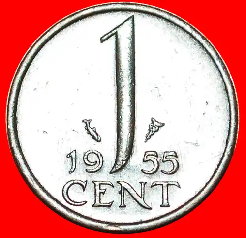 * PORTRÄT RECHTS (1950-1980): NIEDERLANDE ★ 1 CENT 1955!  * NETHERLANDS ★ 