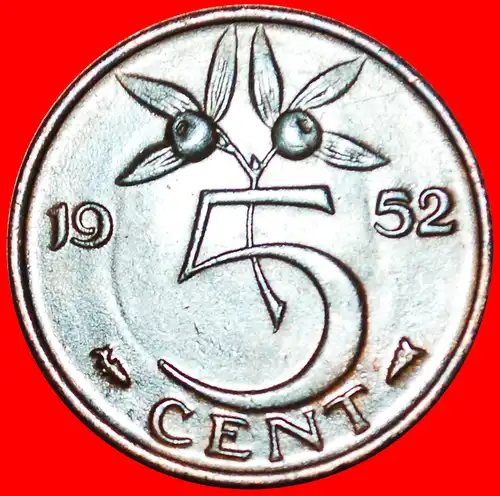 * PORTRÄT RECHTS (1950-1980): NIEDERLANDE ★ 5 CENT 1952!    * NETHERLANDS ★ 