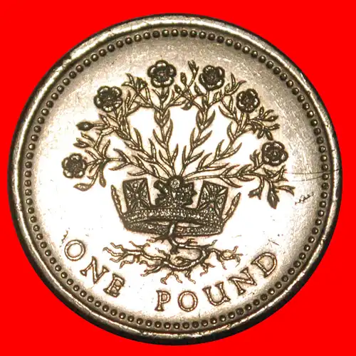 * FLACHS (1986-1991): GROSSBRITANNIEN ★ 1 PFUND 1986 UNGEWÖHNLICH! * FLAX: GREAT BRITAIN ★ 1 POUND 1986 UNCOMMON!