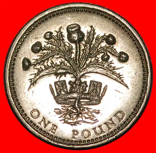 * DISTEL: GROSSBRITANNIEN 1 PFUND 1989 VZGL! * THISTLE: GREAT BRITAIN ★