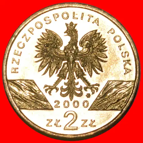 * WIEDEHOPF SELTEN: POLEN ★ 2 ZLOTY 2000 NORDISCHES GOLD STG STEMPELGLANZ! * HOOPOE RARE: POLAND ★ 