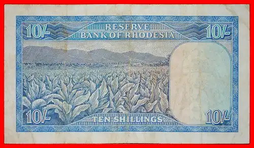 ~ RHODES (1853-1902): RHODESIEN von GROSSBRITANNIEN ★ 10 SHILLINGS 1966 SELTEN! KNACKIG!  ~ RARE: RHODESIA OF GREAT BRITAIN ★ 10 SHILLINGS 1966 ! CRISP!