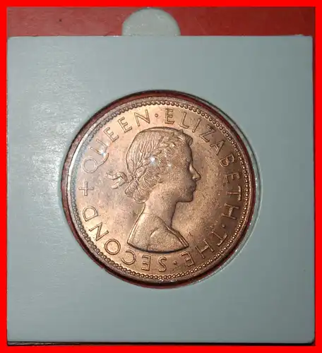 * GROSSBRITANNIEN (1976-1989): NEUSEELAND ★ 1 PENNY 1964! GEKLEIDET KÖNIGIN (1953-2022)! ROTES KUPFER IN PACKUNG! * GREAT BRITAIN: NEW ZEALAND ★  RED COPPER IN HOLDER!