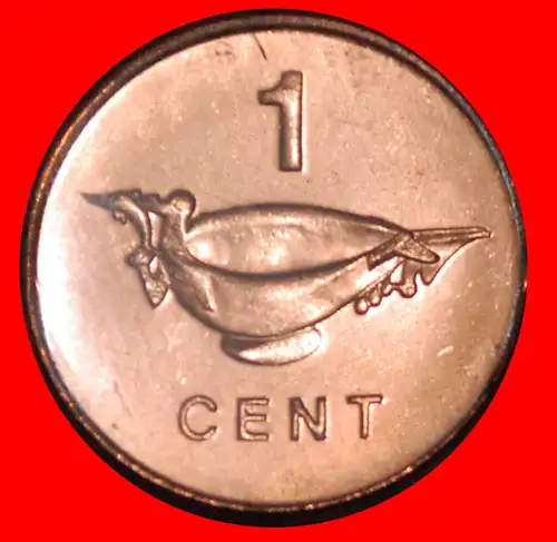 * MAGNETIC (1987-2010): SALOMONEN ★ 1 CENT 2005 STG STEMPELGLANZ! * SOLOMON ISLANDS ★