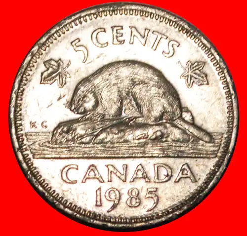 * BIBER(1937-2022): KANADA ★ 5 CENT 1985! ELISABETH II. (1953-2022)  * BEAVER: CANADA ★
