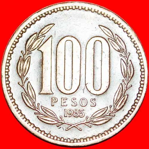 * GEKRÖNTER KONDOR: CHILE ★100 PESO 1985!