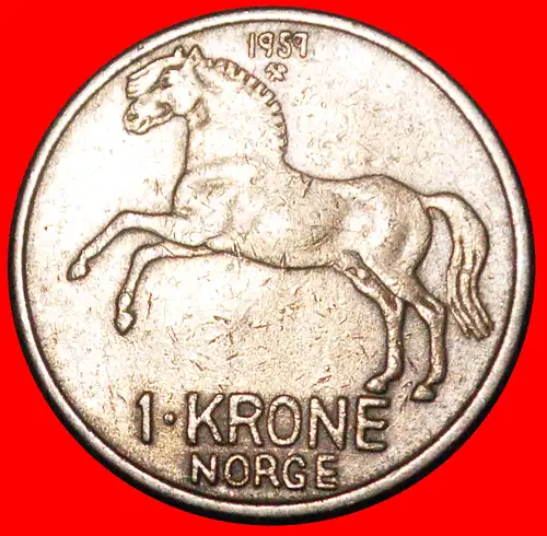 * PFERD (1958-1973): NORWEGEN ★ 1 KRONE 1959 UNGEWÖHNLICH! OLAV V. (1957-1991) * HORSE: NORWAY ★ 1 CROWN 1959 UNCOMMON! 