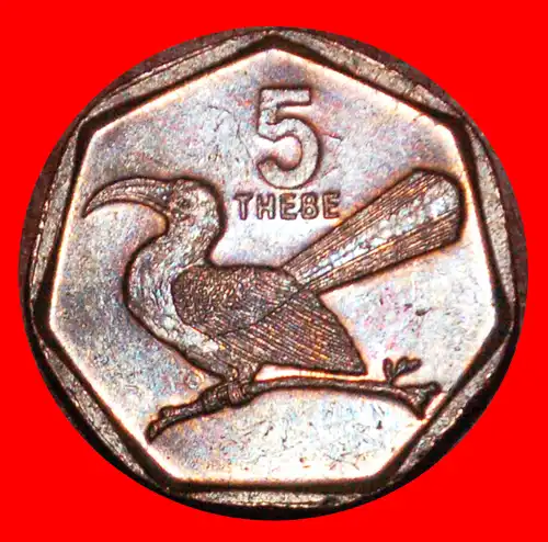 * SÜDAFRIKA (1998-2009): BOTSWANA ★ 5 THEBE 2002 VOGEL! * SOUTH AFRICA: BOTSWANA ★