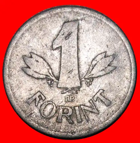 * NEUER TYP MIT STERN (1949-1952): UNGARN ★ 1 FORINT 1950! * NEW TYPE WITH STAR: HUNGARY ★