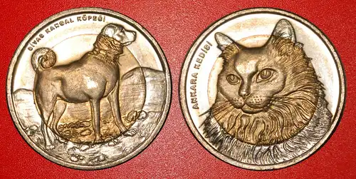 * SELTEN: TÜRKEI ★ 1 LIRA 2010 KATZE & HUND KOMPLETTES STG SET! * RARE: TURKEY ★ 1 LIRA 2010 CAT & DOG COMPLETE UNC SET!