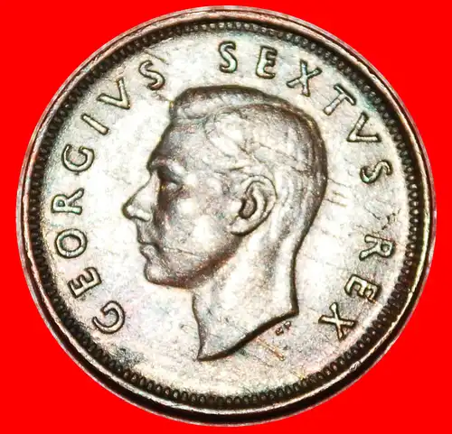 ~ VÖGEL (1950-1952): SÜDAFRIKA ★ 1/4 PENNY 1952! GEORG VI. (1937-1952) ~ BIRDS: SOUTH AFRICA ★ 