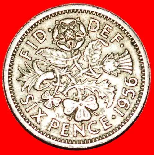 * BLUMEN (1954-1970): GROSSBRITANNIEN ★ 6 PENCE 1956! INTERESSANTER TYP! * FLOWERS: UNITED KINGDOM★ GREAT BRITAIN