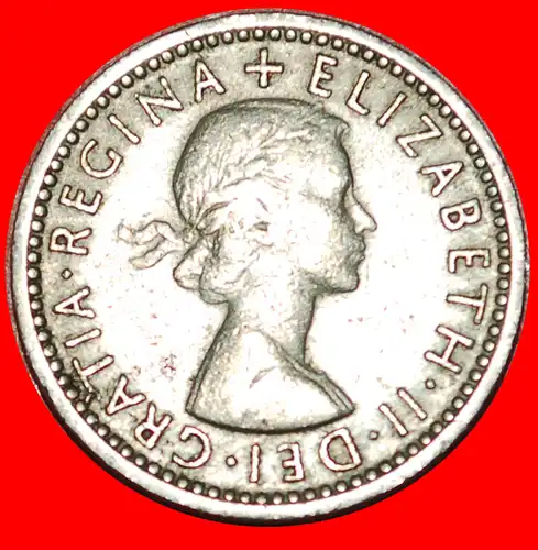 * BLUMEN (1954-1970): GROSSBRITANNIEN ★ 6 PENCE 1956! INTERESSANTER TYP! * FLOWERS: UNITED KINGDOM★ GREAT BRITAIN