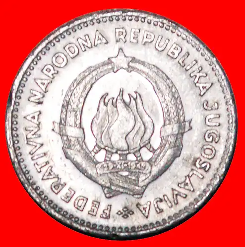 * KOMMUNISTISCHER STAR: JUGOSLAWIEN ★ 50 PARA 1953 ENTDECKUNG MÜNZE VZGL STEMPELGLANZ! * COMMUNIST STAR: YUGOSLAVIA ★ DISCOVERY COIN! 