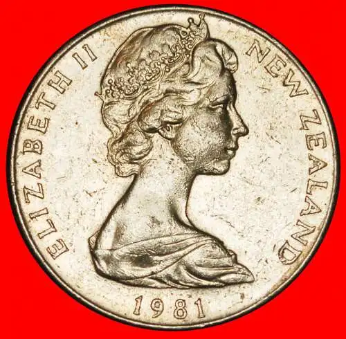 Ⰶ KANADA KIWI-VOGEL (1967-2006): NEUSEELAND ★ 20 CENT 1981! ELIZABETH II (1953-2022)