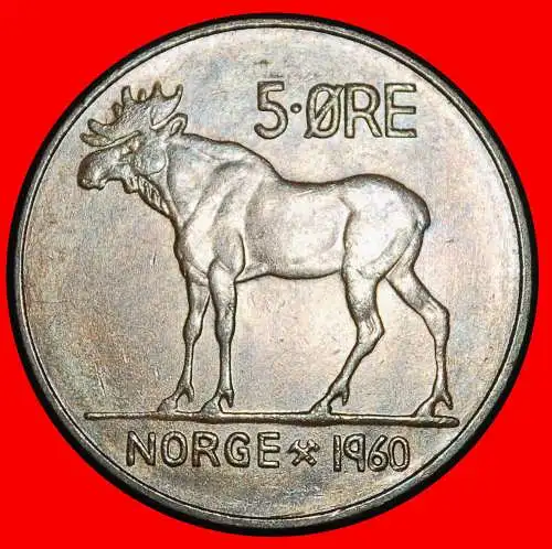 Ⰶ ELCH (1958-1973): NORWEGEN ★ 5 OERE 1960! OLAV V. (1957-1991) GERADE VERÖFFENTLICHT!