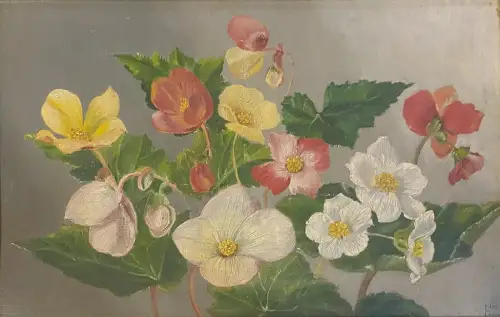 MONOGRAMMIST FL 1910 Dänemark Begonien Stilleben Original Öl Karton 21x33 Fein!