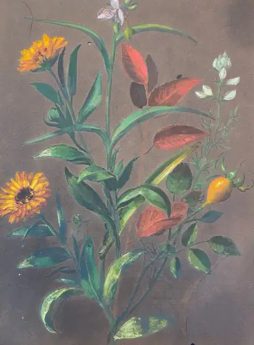Anker Lund 1840-1922 Kopoenhagen Dänemark Ringelblumen Original Aquarell 28,5x21