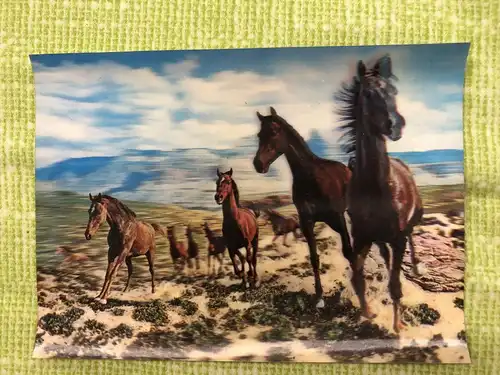 [Mechanische Karte] SSP-150 WONDER CO., TOKYo. 