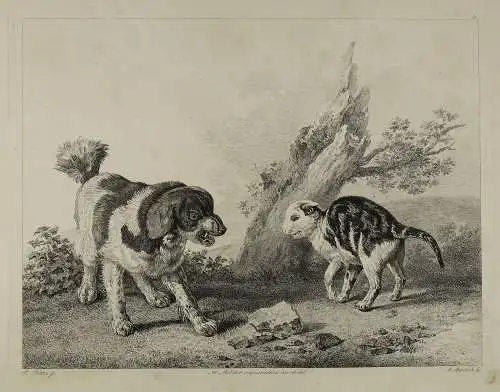 Adam von Bartsch: Wenn Hund und Katze aufeinander treffen, um 1800