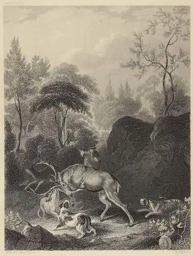 Die Hirschjagd. Stahlstich von T. Heawood nach Karl Rutharts um 1850