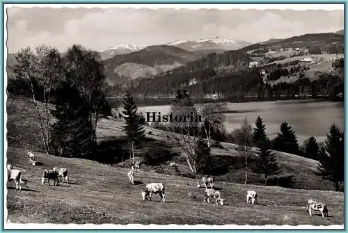 [Ansichtskarte] Hotel Feldbergerhof - Feldberg im Schwarzwald. 