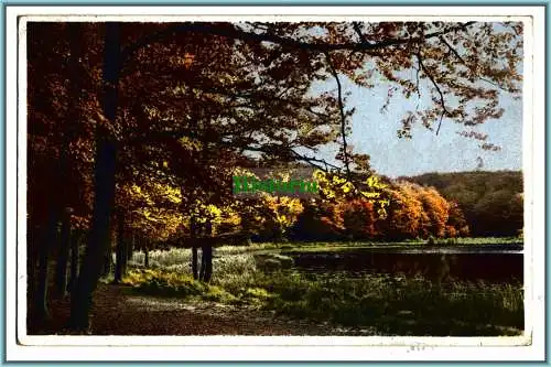 [Ansichtskarte] Herbstlandschaft. 