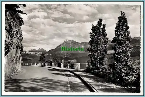 [Ansichtskarte] Seepromenade Vitznau - Gersau. 