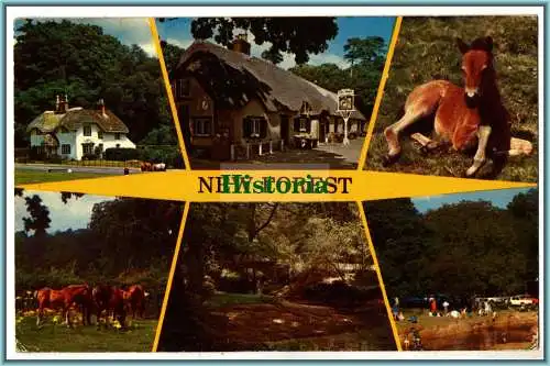 [Ansichtskarte] New Forest - England  - 1975. 