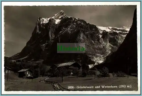 [Ansichtskarte] 2858 - Grindelwald und Wetterhorn (3703m) - 1952. 