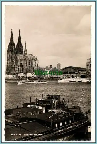 [Ansichtskarte] Köln am Rhein - Blick auf den Dom  - 1955. 
