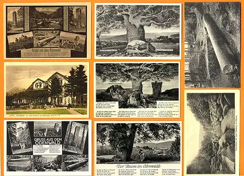 Hessen Odenwald Baum Felsenmeer Reichelsheim Felsberg 8 alte Postkarten ab 1920