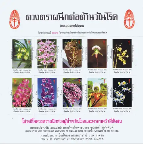 Anti-Tuberculosis Foundation 2521 (1978) -Orchid's of Thailand- (SHEET) (MNH)