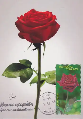Rose - A Symbol of Love and Relationships (2877) -FDC(I)-ISTU(I)-