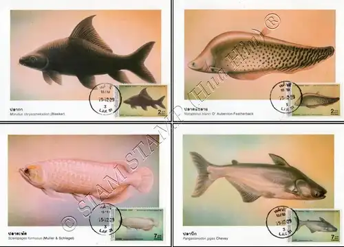 Fishes (IV) -MAXIMUM CARDS MC(012)-