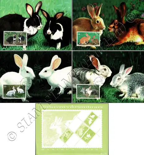 THAIPEX 99, Bangkok: Domestic Rabbit -MAXIMUM CARDS MC(95)-