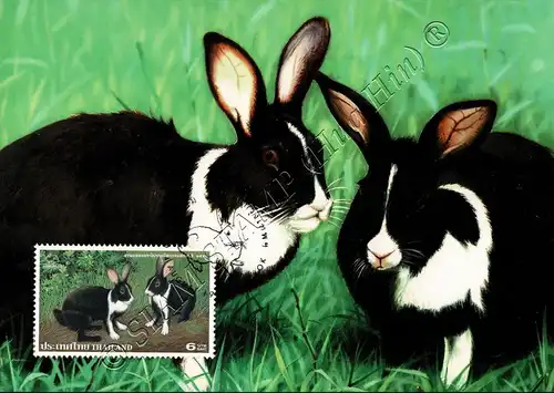 THAIPEX 99, Bangkok: Domestic Rabbit -MAXIMUM CARDS MC(95)-