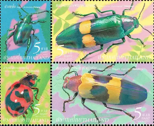 Insects (III) -ZD(II)- (MNH)