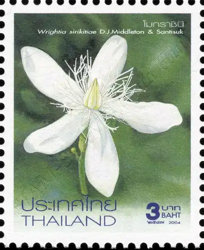 New Year 2005: Flowers (17th Series) (MNH)