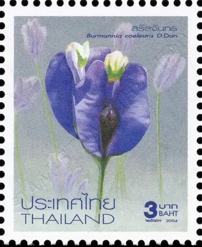 New Year 2005: Flowers (17th Series) (MNH)