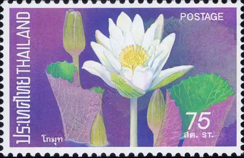 Lotus Flowers (MNH)