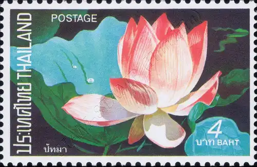 Lotus Flowers (MNH)