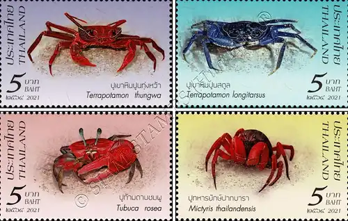 Crustaceans (III): Crabs from Southern Thailand (MNH)