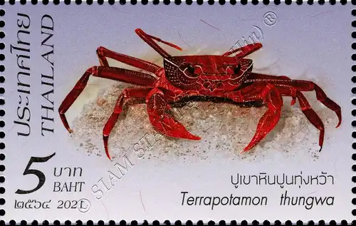 Crustaceans (III): Crabs from Southern Thailand (MNH)