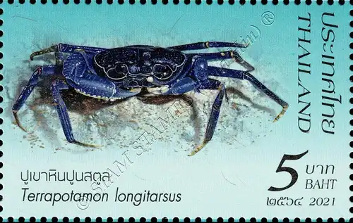 Crustaceans (III): Crabs from Southern Thailand (MNH)