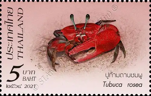 Crustaceans (III): Crabs from Southern Thailand (MNH)